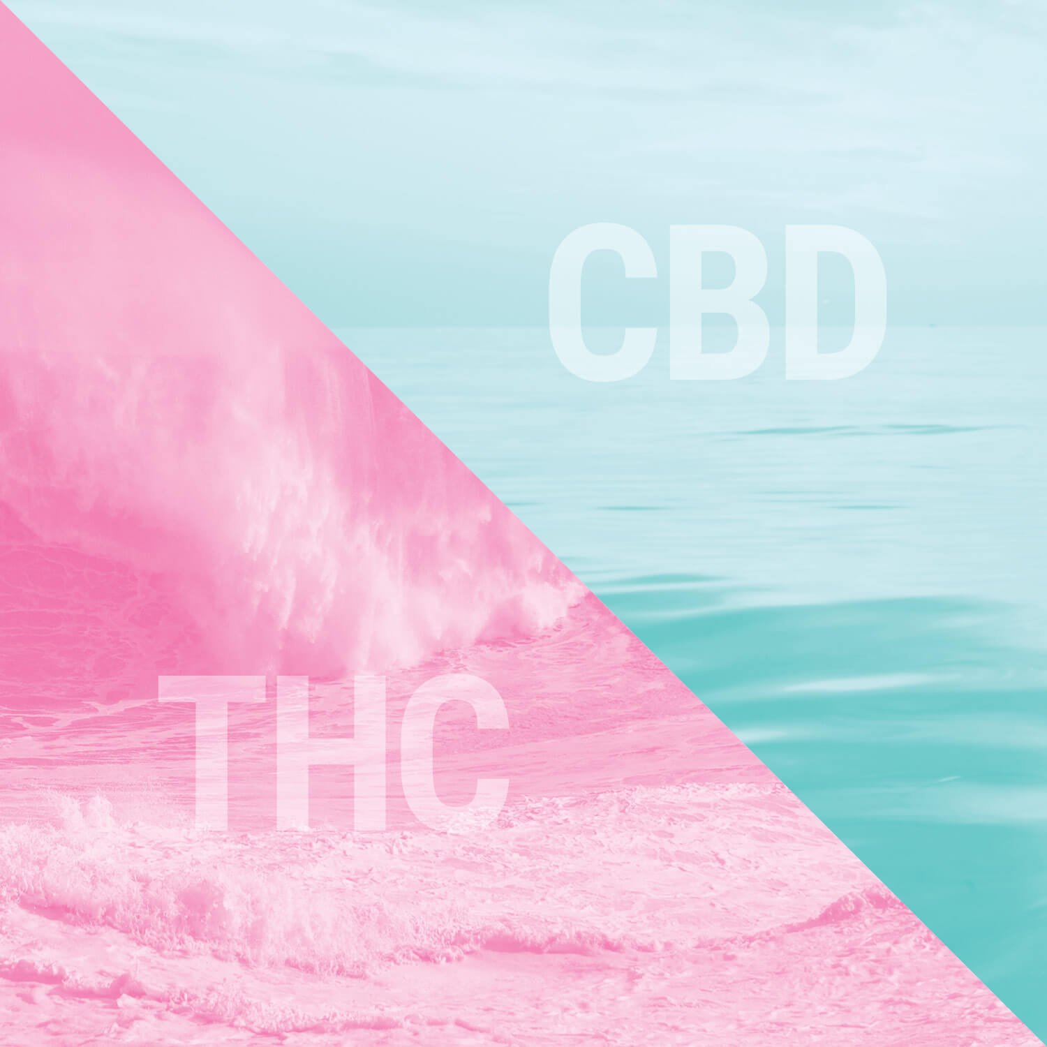 THC und CBD