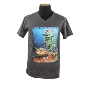 Royal Queen Seeds T-shirt Schildkröte