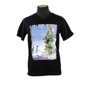 Royal Queen Seeds T-shirt Pinguin