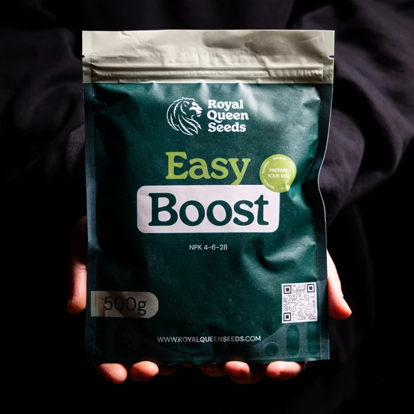 Easy Boost Organische Ernährung