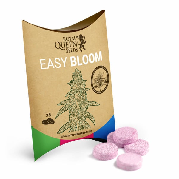 Easy Bloom Blüte-Booster
