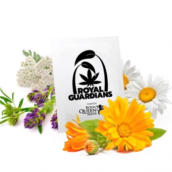 Royal Guardians Sammelpackung Wachstum