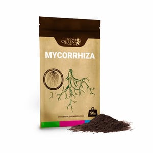Easy Roots - Mykorrhiza Mix