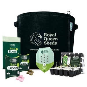 Cannabis Grow Kit für Anfänger