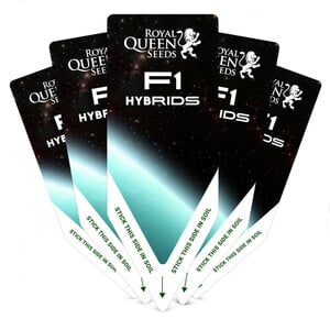 20 Pflanzenschilder Mit Stift - Wetterfeste Gartenstecker Aus Holz