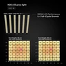 Growbox-Komplettset 90x90x200 RQS