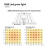 RQS LED-Growlampe 320 W