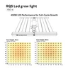 RQS LED-Growlampe 450 W