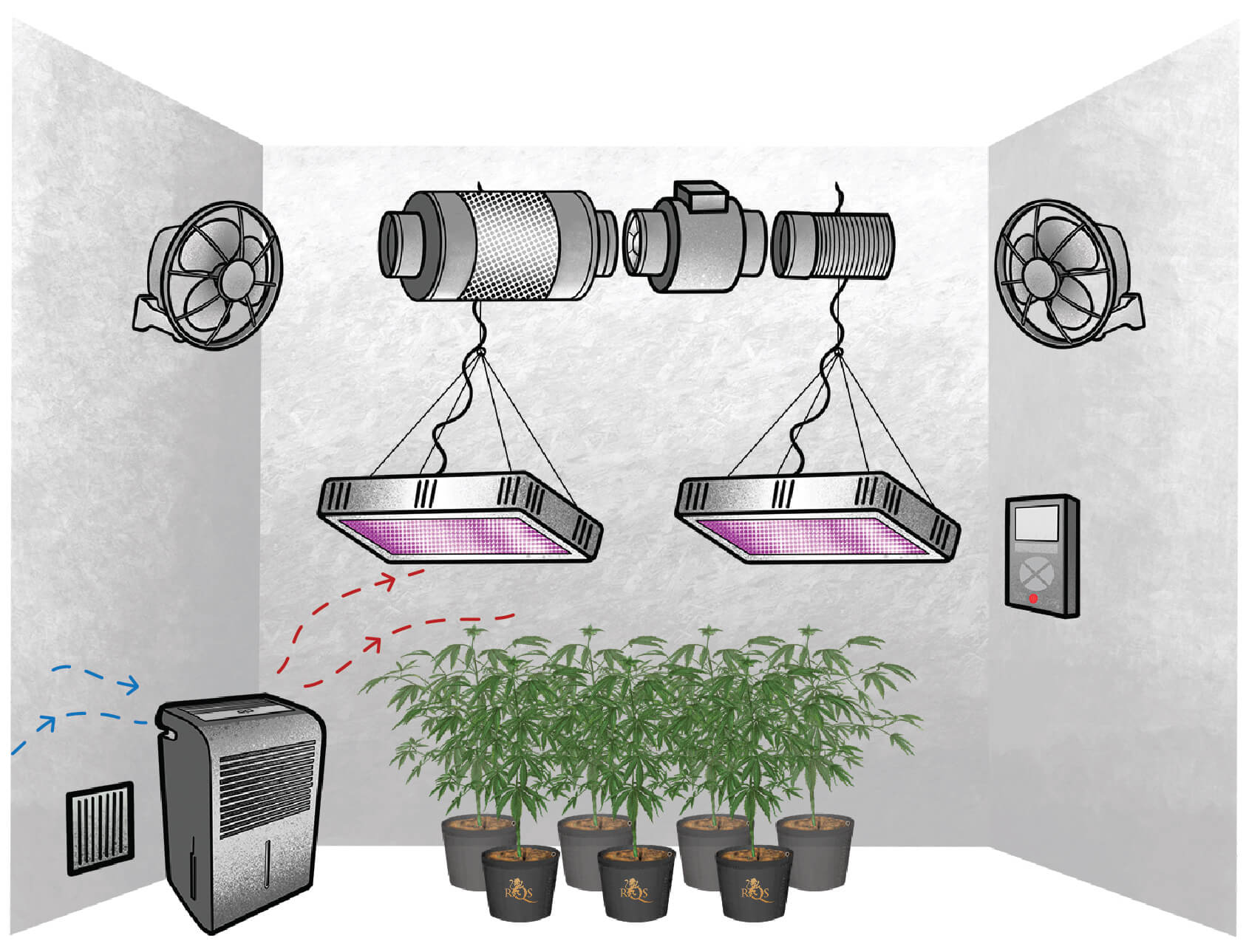 Wie man den richtigen Luftentfeuchter für den Cannabisanbau auswählt Wie man den richtigen Luftentfeuchter für den Cannabisanbau auswählt