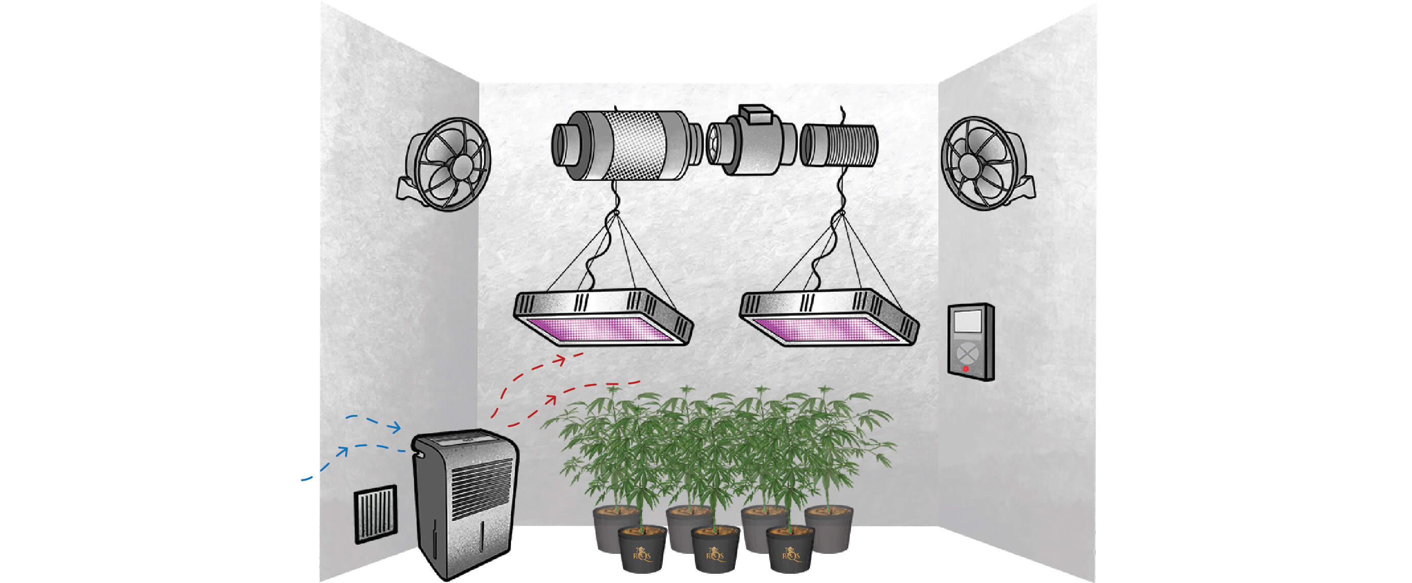 Wie man den richtigen Luftentfeuchter für den Cannabisanbau auswählt Wie man den richtigen Luftentfeuchter für den Cannabisanbau auswählt