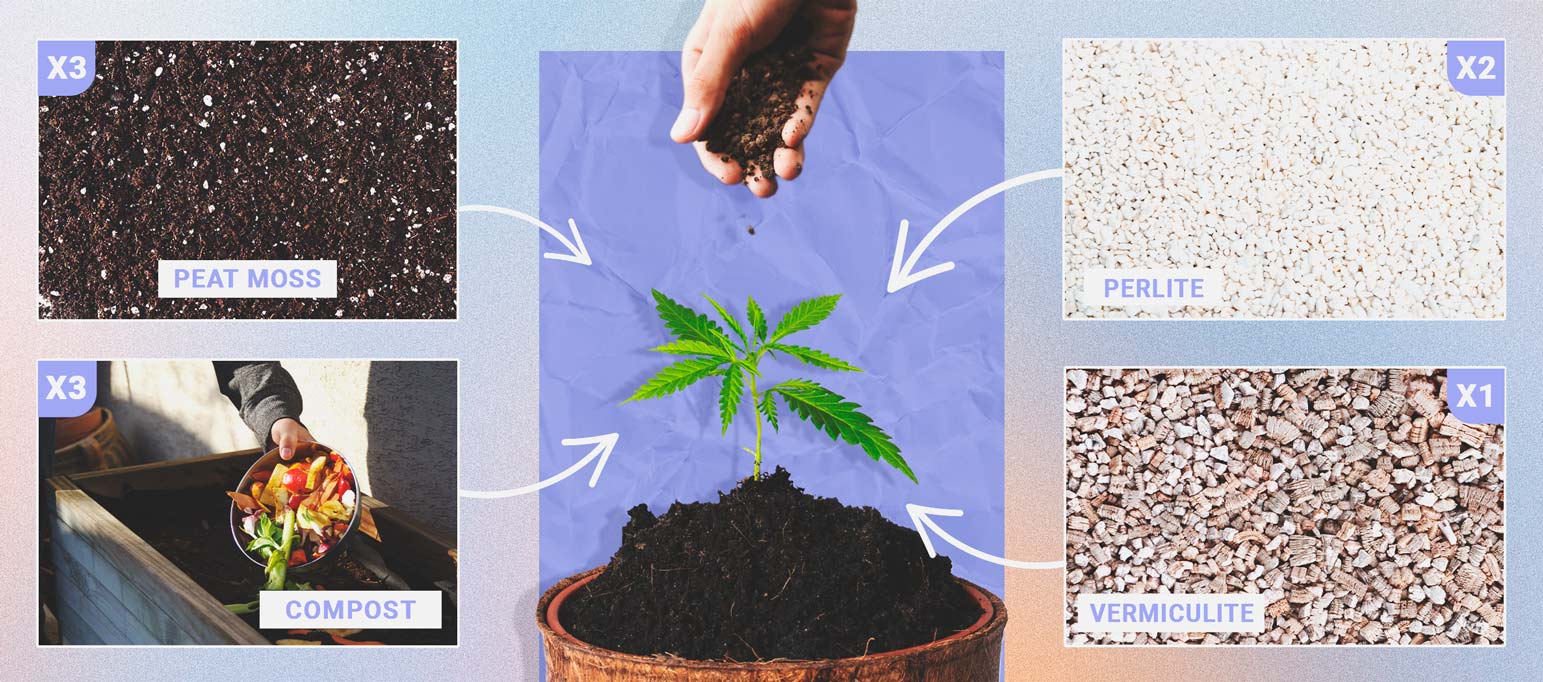 Die beste Erde für den Anbau von autoflowering Cannabis