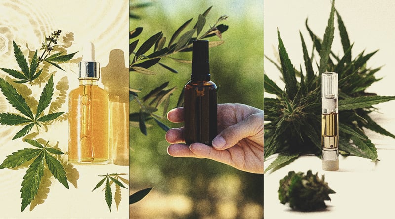 Wann und wie man CBD verwenden sollte Wann und wie man CBD verwenden sollte