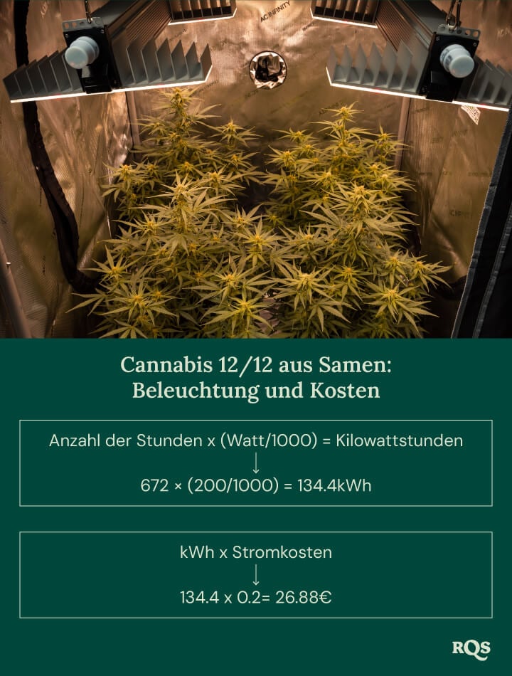 12-12 cannabis light cycle cost