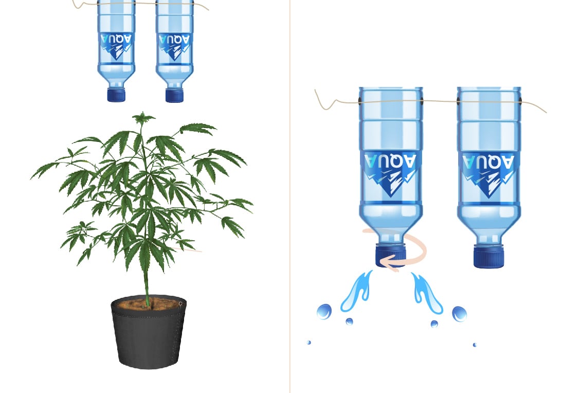 Ein eigenes DIY Tropfbewässerungssystem für den Anbau von Cannabis einrichten