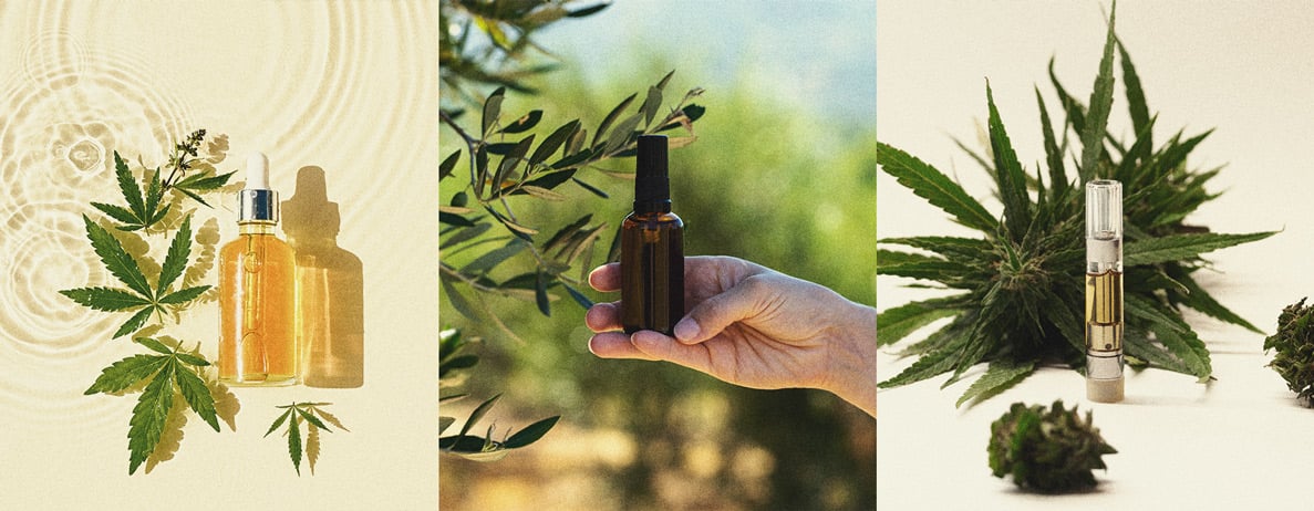 Wann und wie man CBD verwenden sollte Wann und wie man CBD verwenden sollte