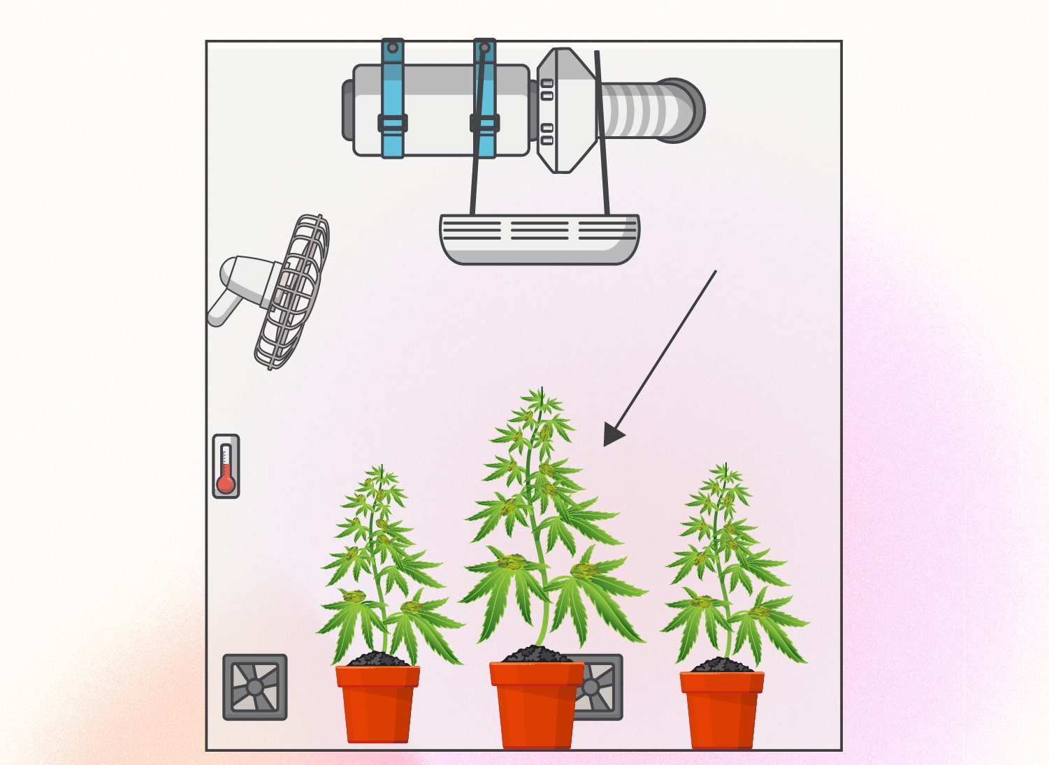 Monster Cropping Cannabis: eine Schritt-für-Schritt-Anleitung