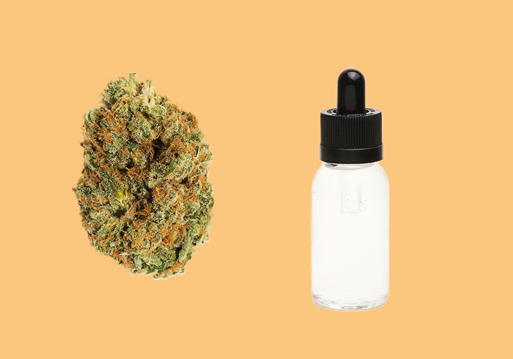 Alles, was Du über Cannabis-Kartuschen wissen musst