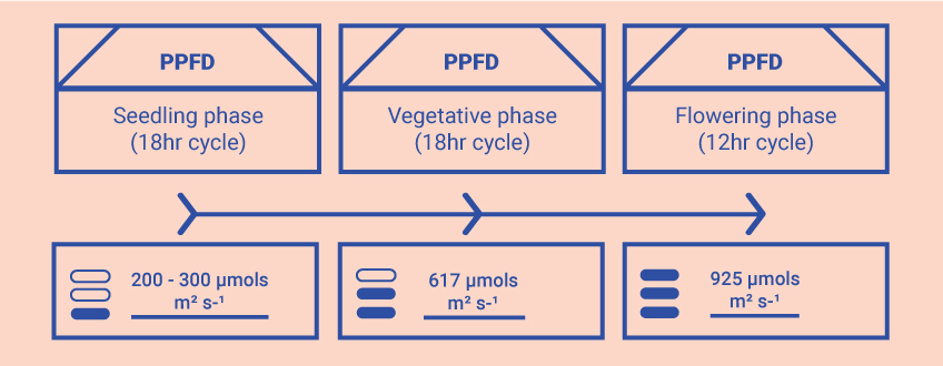 Optimiere Dein Wissen im Grow Room Optimiere Dein Wissen im Grow Room