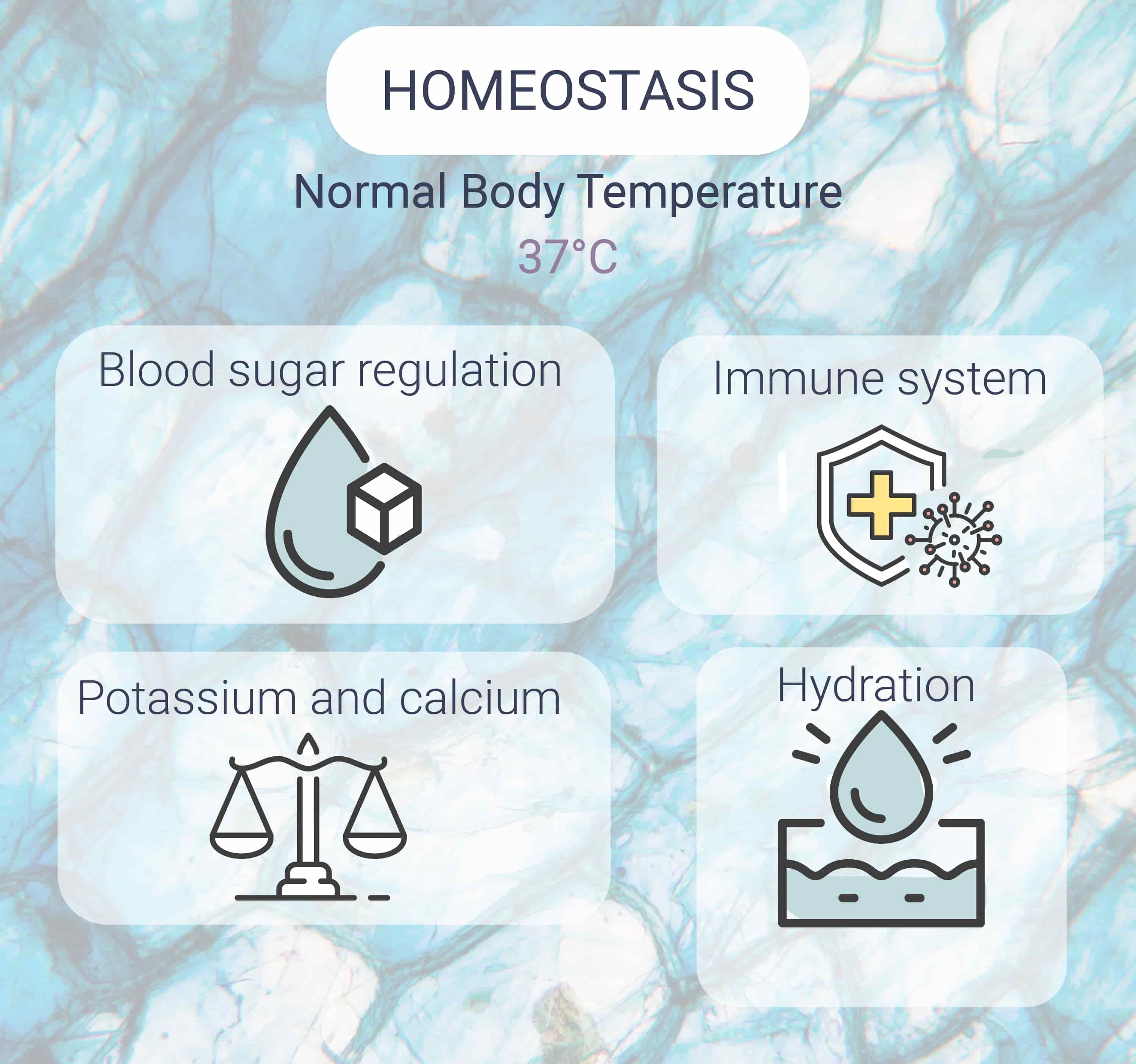 Was ist Homöostase? Was ist Homöostase?