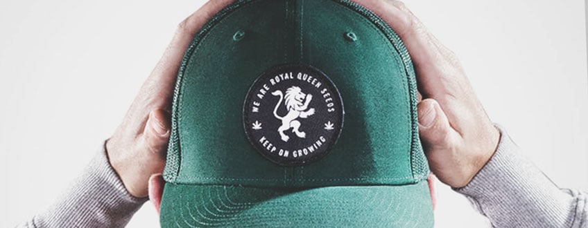 RQS Trucker Hat Eine Person, die eine grüne Baseballkappe mit einem weißen Löwenlogo und den Worten