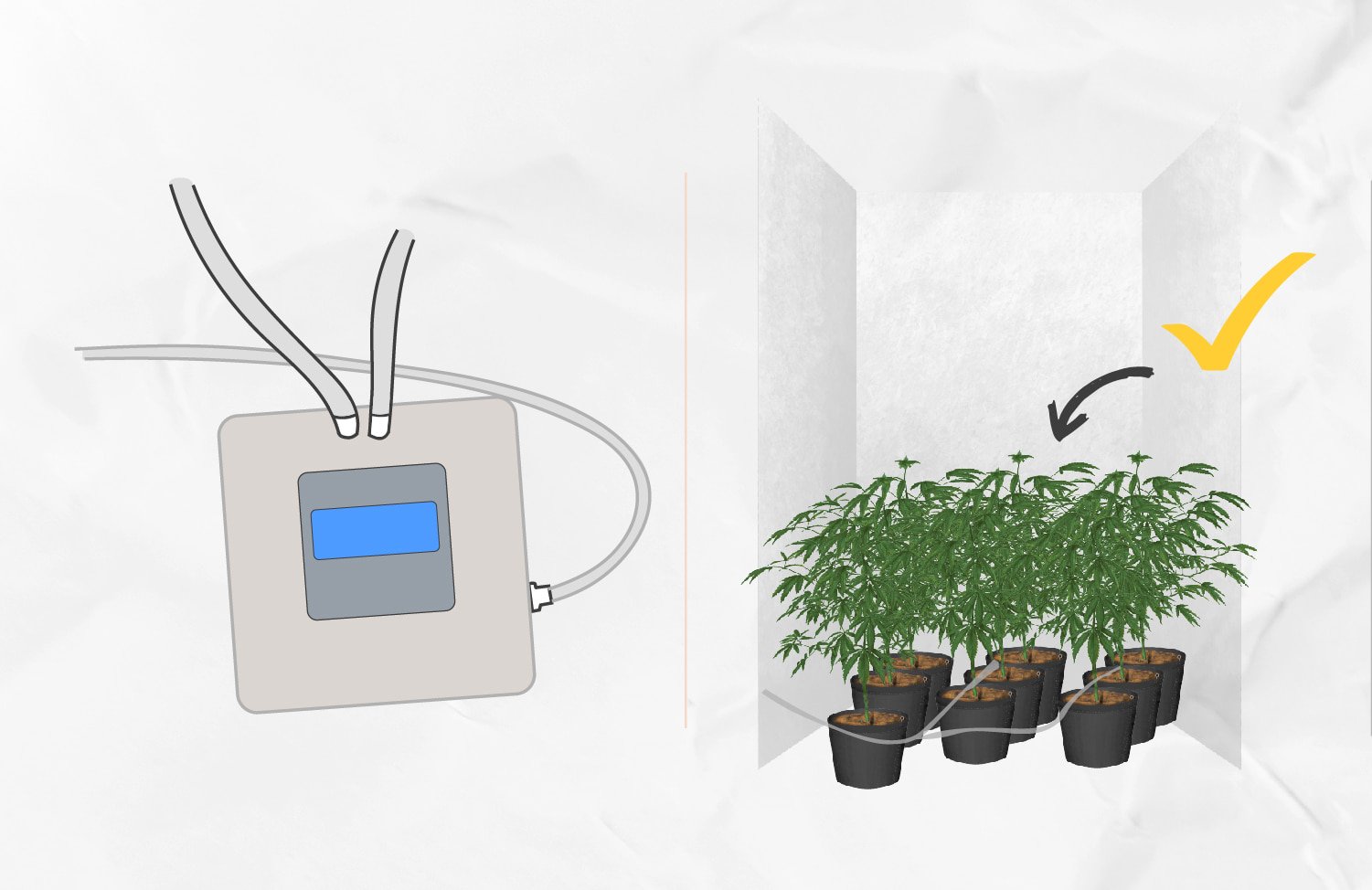 Ein eigenes DIY Tropfbewässerungssystem für den Anbau von Cannabis einrichten
