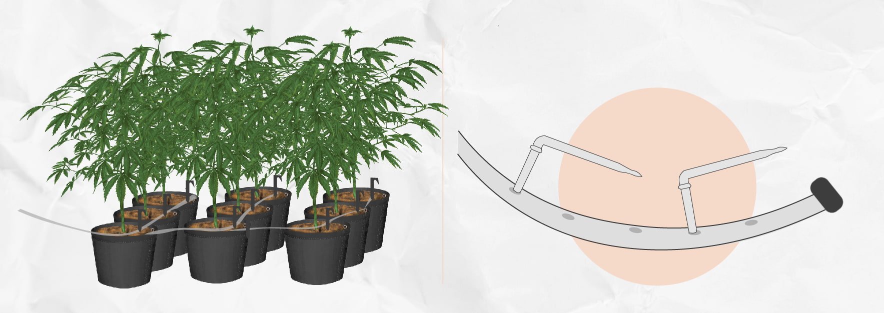 Ein eigenes DIY Tropfbewässerungssystem für den Anbau von Cannabis einrichten