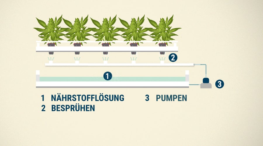 Zirkuläre Aeroponik-Systeme