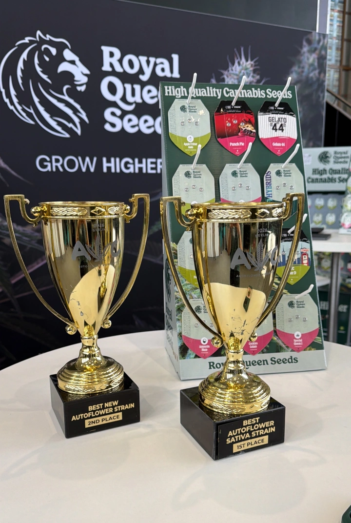Trainwreck Auto und Gaia F1 gewinnen beim Autoflower World Cup Entdecke Trainwreck Auto und Gaia F1, zwei Sorten von Royal Queen Seeds, die beim Autoflower World Cup 2026 ausgezeichnet wurden.