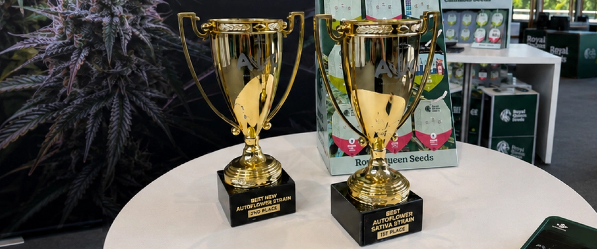 Trainwreck Auto und Gaia F1 gewinnen beim Autoflower World Cup Entdecke Trainwreck Auto und Gaia F1, zwei Sorten von Royal Queen Seeds, die beim Autoflower World Cup 2026 ausgezeichnet wurden.