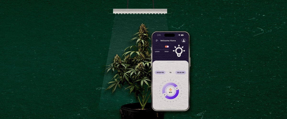 Fortschrittliche Funktionen, die zu Berücksichtigen Sind Cannabis Eine Illustration einer Cannabispflanze unter einer Grow-Lampe mit einem Smartphone, das eine Steuerungs-App anzeigt, auf einem grünen Hintergrund, die fortschrittliche Funktionen hervorhebt, die zu berücksichtigen sind.