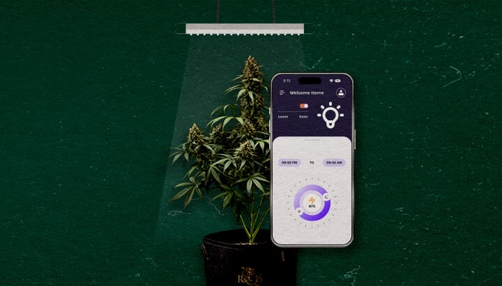 Fortschrittliche Funktionen, die zu Berücksichtigen Sind Cannabis Eine Illustration einer Cannabispflanze unter einer Grow-Lampe mit einem Smartphone, das eine Steuerungs-App anzeigt, auf einem grünen Hintergrund, die fortschrittliche Funktionen hervorhebt, die zu berücksichtigen sind.