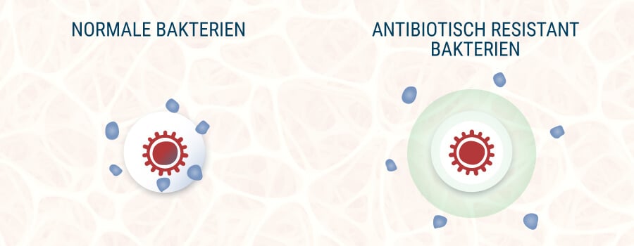 Normale Bakterien und Antibiotisch Resistant Bakterien