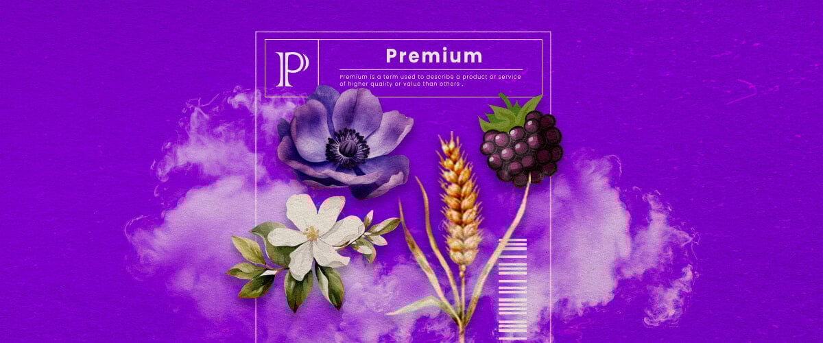 Eine Illustration von Granddaddy Purple Cannabis-Knospen mit tiefpurpurnen Farbtönen und dichter Struktur, die die dominanten Indica-Hybrid-Eigenschaften und den süßen, traubenähnlichen Duft hervorhebt, auf einem grünen Hintergrund.