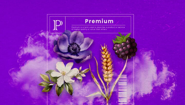 Eine Illustration von Granddaddy Purple Cannabis-Knospen mit tiefpurpurnen Farbtönen und dichter Struktur, die die dominanten Indica-Hybrid-Eigenschaften und den süßen, traubenähnlichen Duft hervorhebt, auf einem grünen Hintergrund.