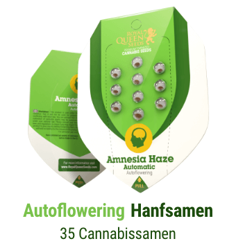 autoflowering-cannabis-hanfsamen