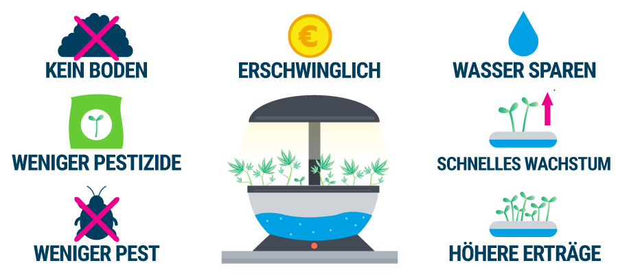 Vorteile Hydrokultur Anbau Cannabis