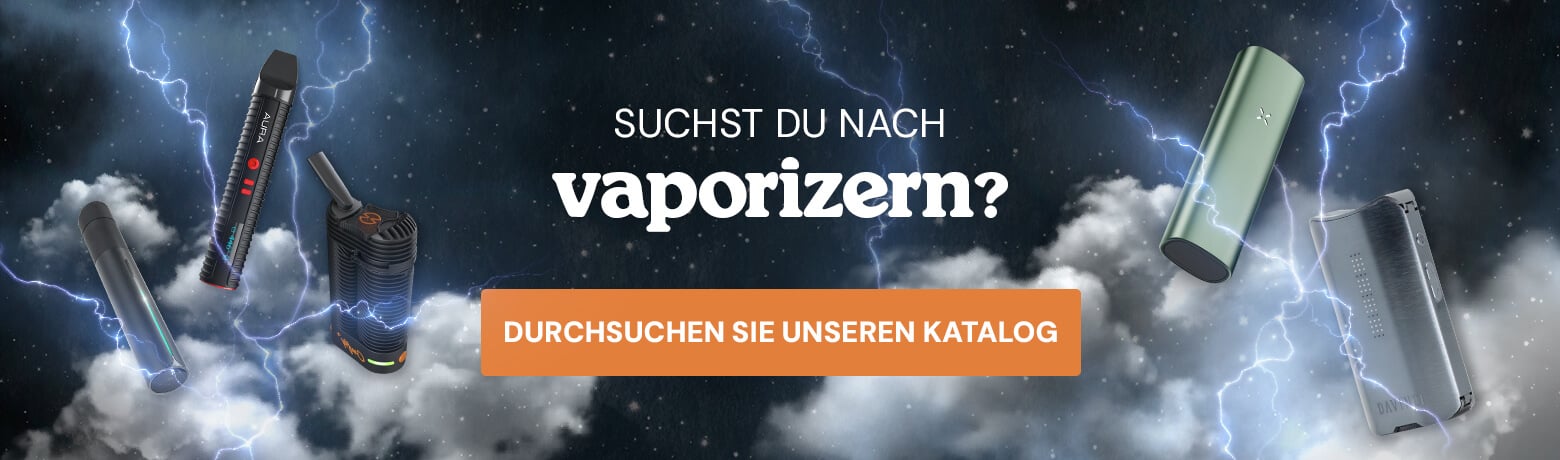 Vaporizer