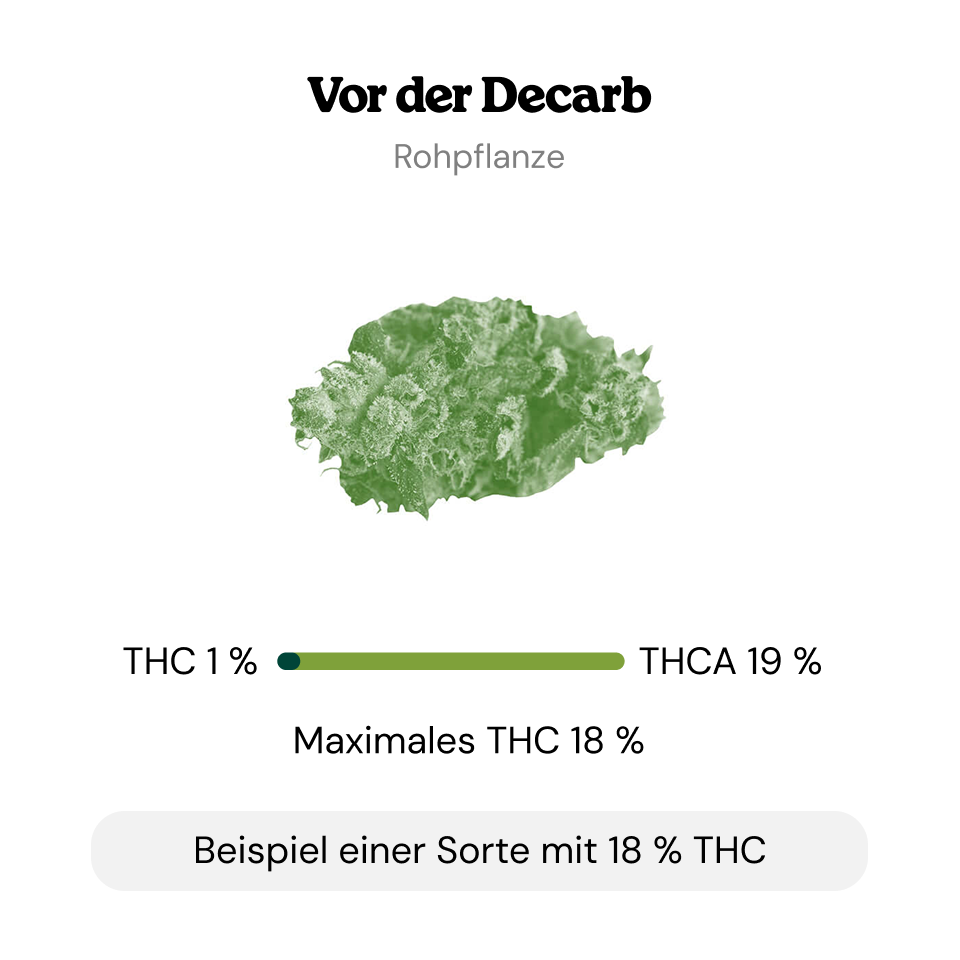 Decarboxylierung Decarboxylierung
