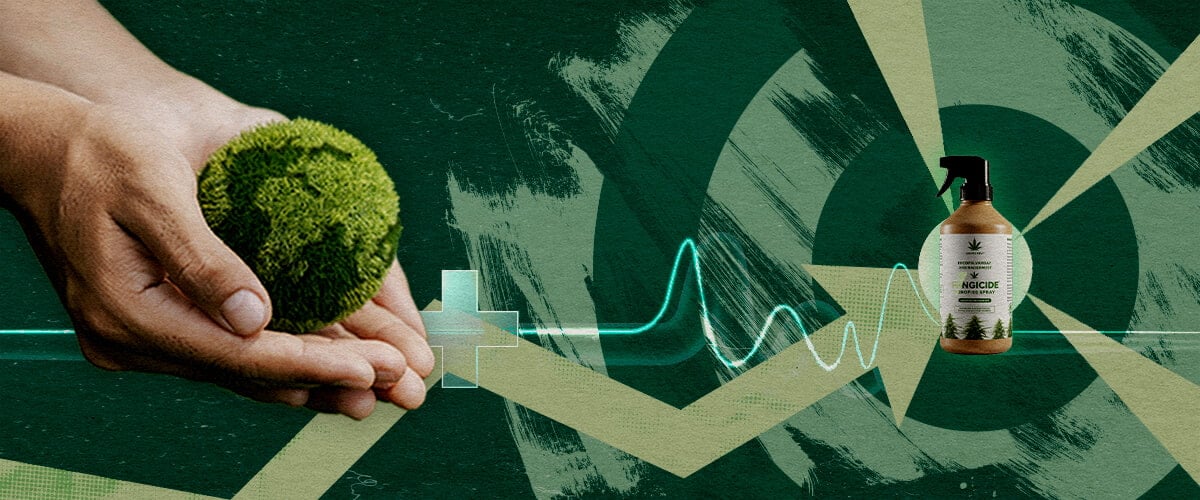 Nachhaltiger Pflanzenschutz: Die Gezielten Vorteile von Fungiziden auf Cannabisbasis Hände, die eine gesunde grüne Kugel neben organischem Fungizid nähren, was den gezielten, nachhaltigen Pflanzenschutz mit Cannabisextrakten darstellt.
