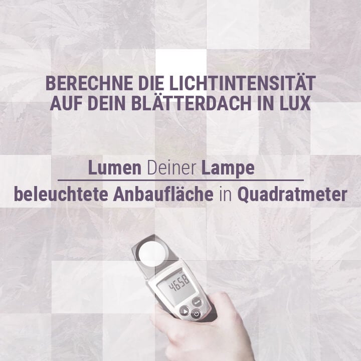 Berechne-die-Lichtintensität-auf-Dein-Blätterdach-in-Lux