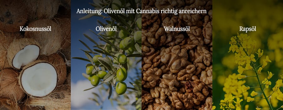 Best oils for infusing cannbis