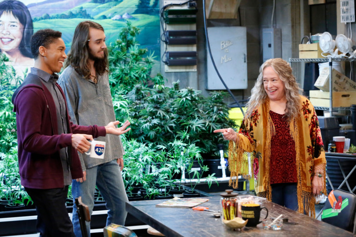 Disjointed Netflix