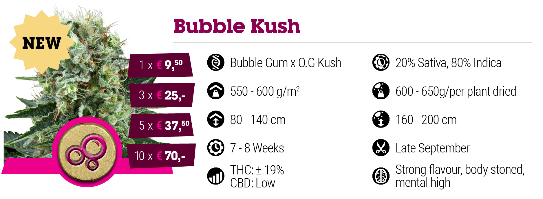 Top 10 Cannabis IndicaSorten