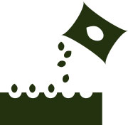 Cannabis Fertilisers