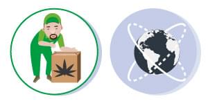 DIE REGELUNG cannabis