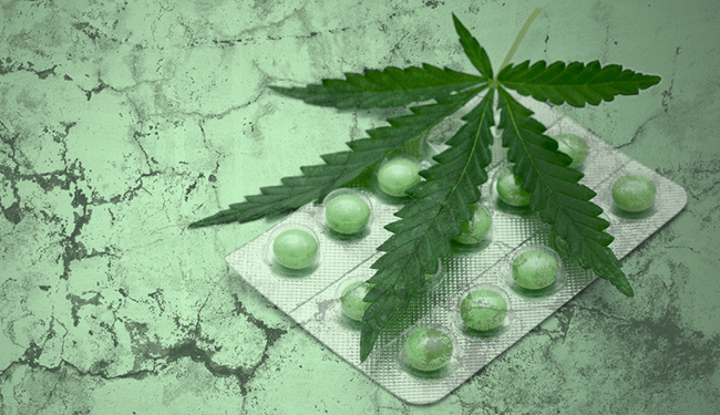 Kolumbien Medizinisches Cannabis