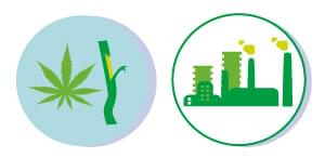 ERNEUERBARE ROHSTOFFE cannabis