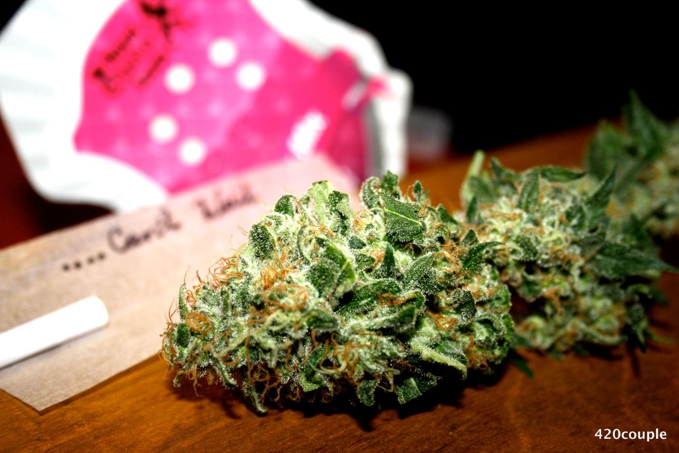420 Paar mit diesem White Widow Bild! 420 Paar mit diesem White Widow Bild!