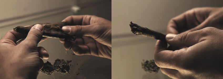 Zum Perfekten Blunt Zum Perfekten Blunt