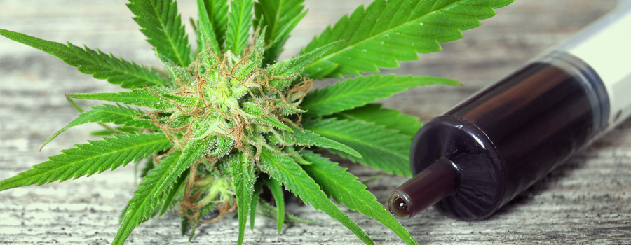 Medical Cannabis Oil for cancer treatment Medical Cannabis Oil kranke angst